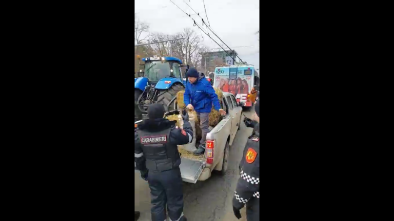 Молдавские фермеры привезли на акцию протеста сено и навоз. Движение в центре Кишинева затруднено
