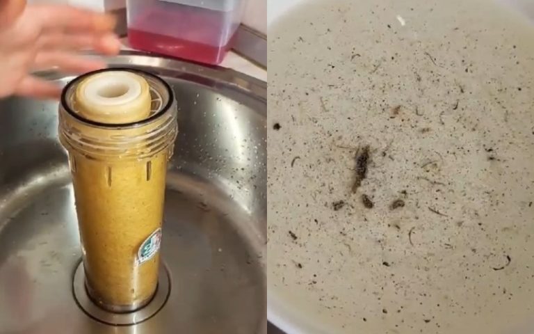 Черви в воде из-под крана в Комрате — откуда и насколько это опасно 