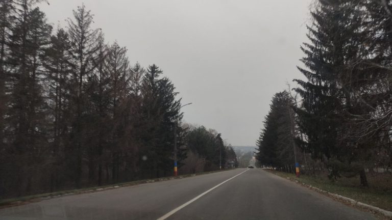 Дожди и туман — прогноз погоды в Молдове на четверг, 14 декабря