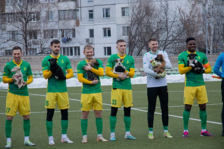 (ФОТО) Футболисты «Зимбру» вышли на поле с щенками: клуб участвует в годовой акции помощи бездомным животным