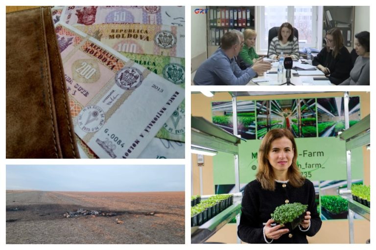 Компенсации в Гагаузии, «слив» заседания на GRT, бизнес на микрозелени семьи из Чадыр-Лунги и обломки российского дрона в Етулии – топ материалов недели