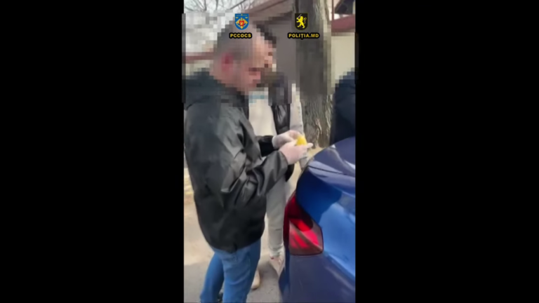 (ВИДЕО) 5 млн леев «солями» и марихуаной. В Молдове задержали подозреваемых в продаже наркотиков