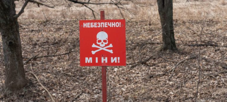 Украине выделили 700 млн долларов на гуманитарное разминирование земли