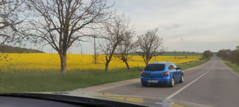 Днём тепло, к вечеру дожди — прогноз погоды в Молдове на 16 апреля