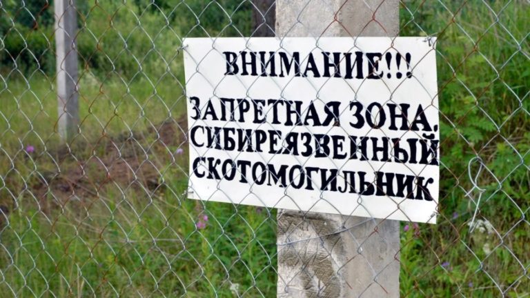 В Казахстане из-за паводка подтопило 14 захоронений сибирской язвы и восемь скотомогильников