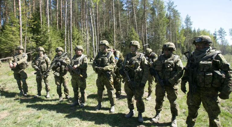 В Эстонии начались военные учения «Весенний шторм» с участием 15 стран