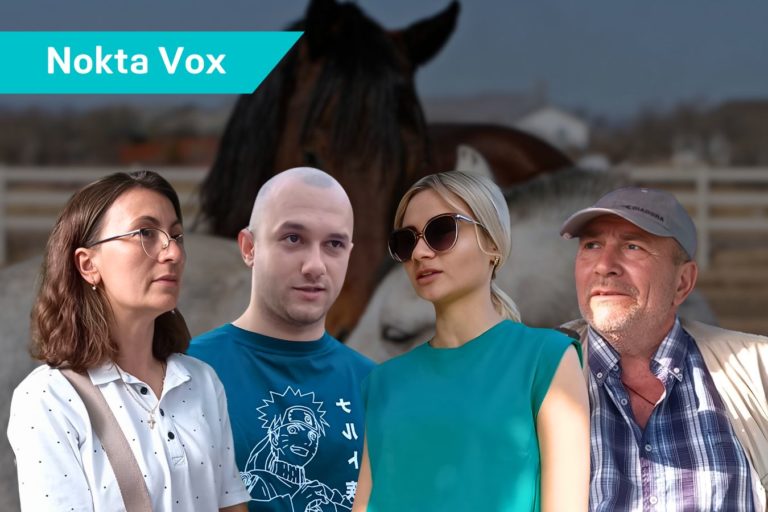 Nokta VOX в Чадыр-Лунге: что жители думают о конфликте вокруг конефермы «Ат-Пролин»?