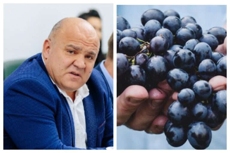 Гагаузия отправляет продукцию в Россию втайне от Кишинёва — глава АПК Гагаузии дал интервью российскому СМИ