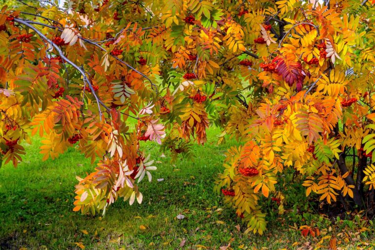 Ещё немного теплее — прогноз погоды в Молдове на пятницу, 25 октября