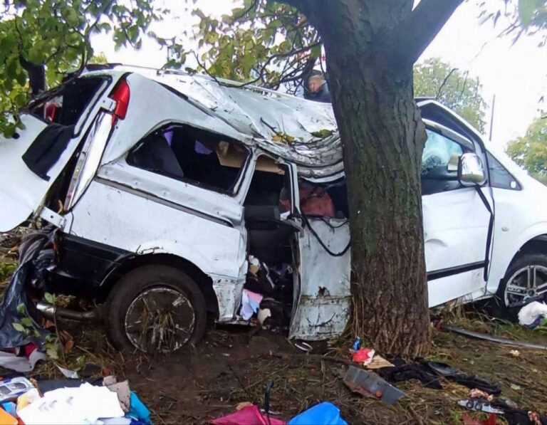 В Фалештском районе автомобиль врезался в дерево: погиб ребёнок