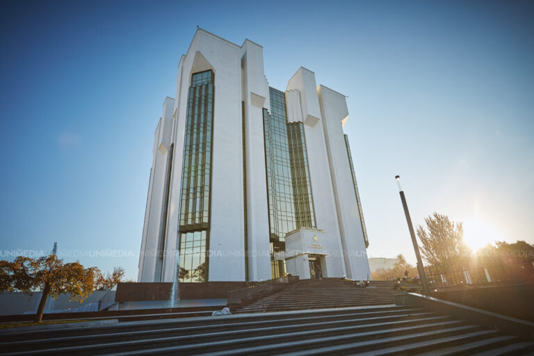 У большинства кандидатов в президенты есть румынский паспорт, но не все заявили об этом в ЦИК