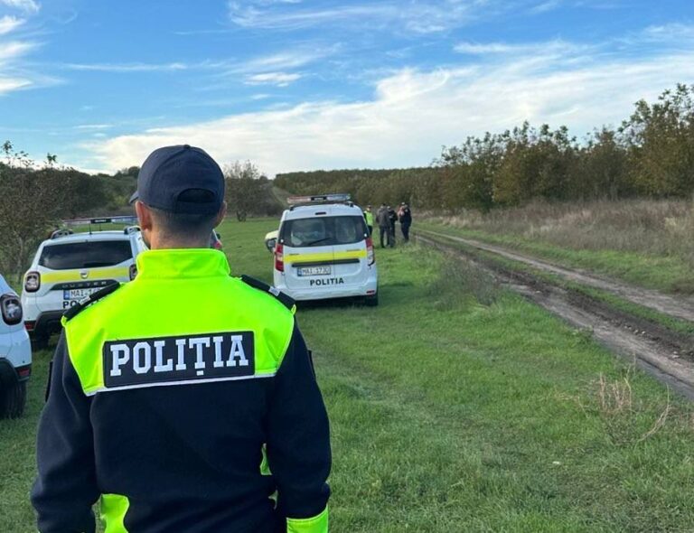 Пропавшего в Новых Аненах мальчика нашли живым