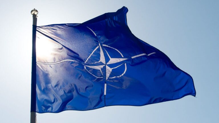 НАТО может использовать пятую статью в ответ на диверсии РФ — глава немецкой разведки