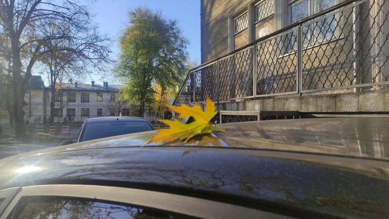 Лист, городской пейзаж, осень