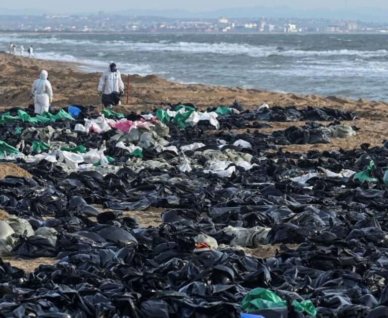 Экологическая катастрофа в Чёрном море — мазут убивает дельфинов и птиц