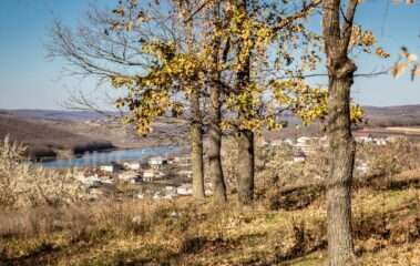 погода Вегера солнце зима деревья село