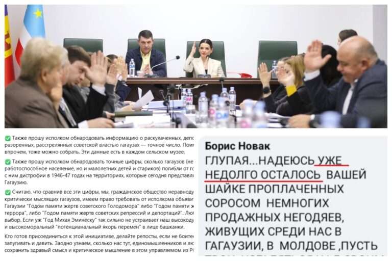 «Пусть твои негодяи-единомышленники знают, что их ждёт» — как активистка попыталась оспорить культ Победы в Гагаузии