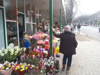 цветы продажа Кишинев
