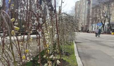 весна тепло город погода март Бельцы
