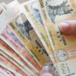 Подоходный налог в Молдове в 2026 году: сколько из зарплаты снимают и сколько освобождают от налога