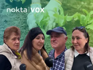 NoktaVOX про огород 2025