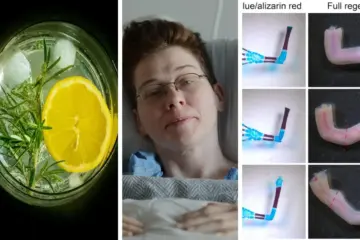 научный дайджест