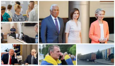 дайджест