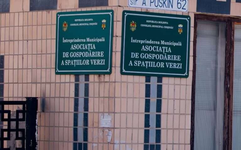 Кумовство в мэрии Кишинева: PAS требует отставки врио директора Spații Verzi