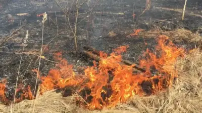 В Молдове на неделю объявлен «жёлтый код» из-за опасности пожаров