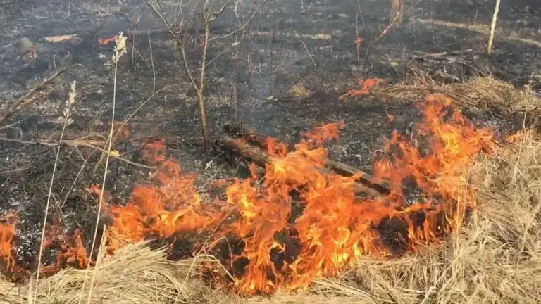 В Молдове на неделю объявлен «жёлтый код» из-за опасности пожаров