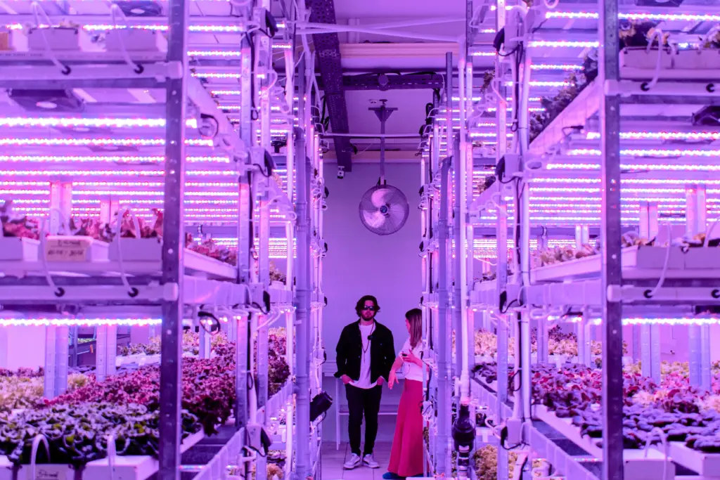 Каждая локация CityFarm приносит около 10 тыс евро в месяц