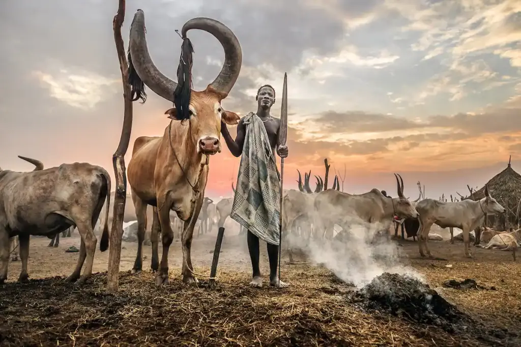 Роберто Пацци, «Mundari Culture»