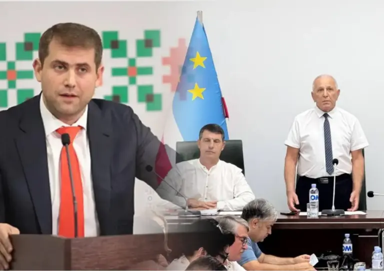 Как Шор использует резолюцию гагаузских депутатов и пробелы в законе — разбор WatchDog