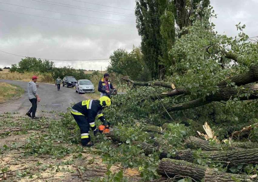 Правительство выделит почти 3 миллиона леев на восстановление дорог в пострадавших от стихии районах