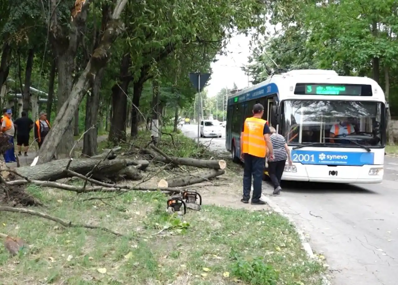 в Бельцах дерево упало во время урагана на троллейбус