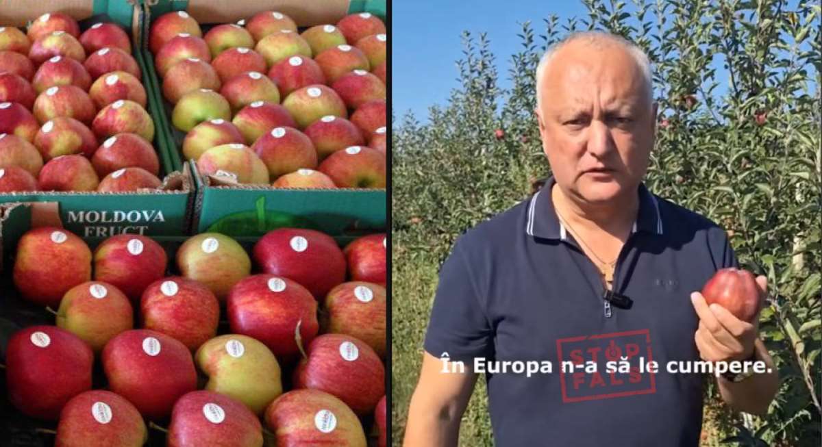 Как Додон лжёт об экспорте молдавских яблок: проверка Stopfals.md