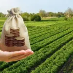 Более 500 млн леев из фондов ЕС пошли на кредиты молдавским фермерам