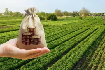 Молдавские фермеры могут подать заявки на компенсации ущерба от заморозков