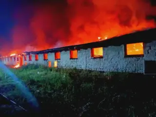 В Рышканском районе пожарные спасли 300 коз от огня