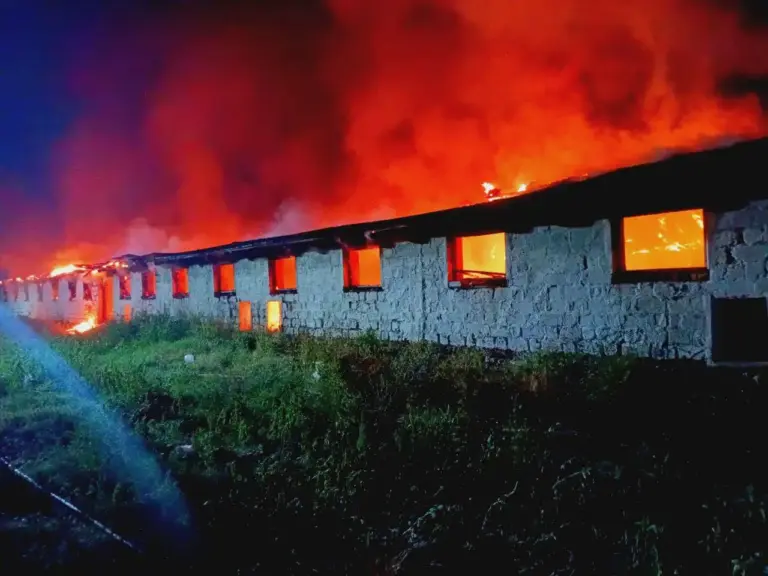 В Рышканском районе пожарные спасли 300 коз от огня