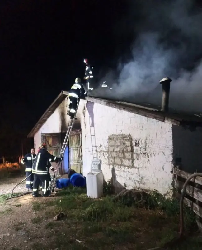 пожар в Рышканском районе