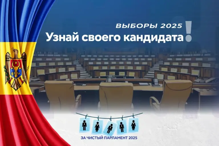 проект узнай кандидата