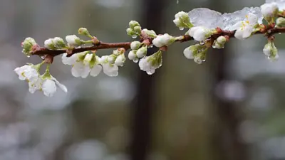 заморозки весной в Молдове