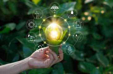 Госучереждения и местные власти могут принять участие в конкурсе «зеленых» проектов