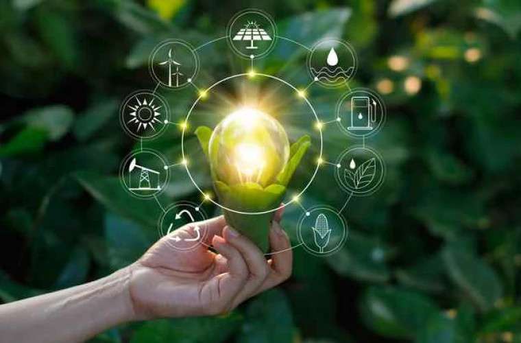 Госучереждения и местные власти могут принять участие в конкурсе «зеленых» проектов