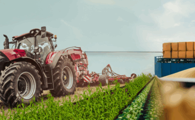 8 млрд леев власти вложили в сельское хозяйство Молдовы за 4 года