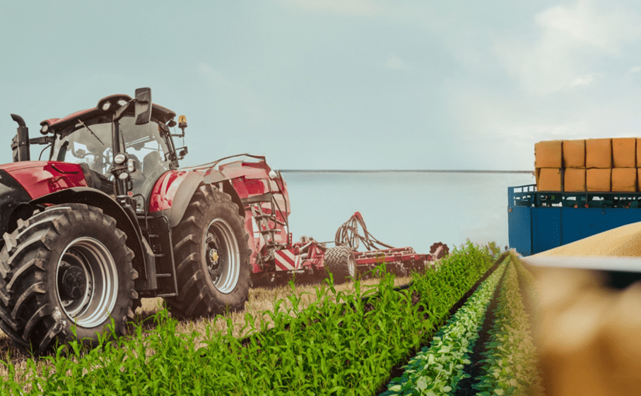 8 млрд леев власти вложили в сельское хозяйство Молдовы за 4 года