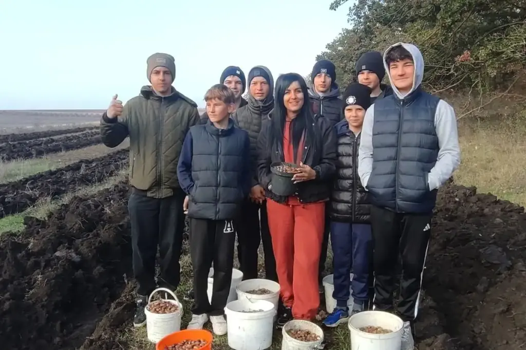 В Конгазчике школьники помогли посадить дубы