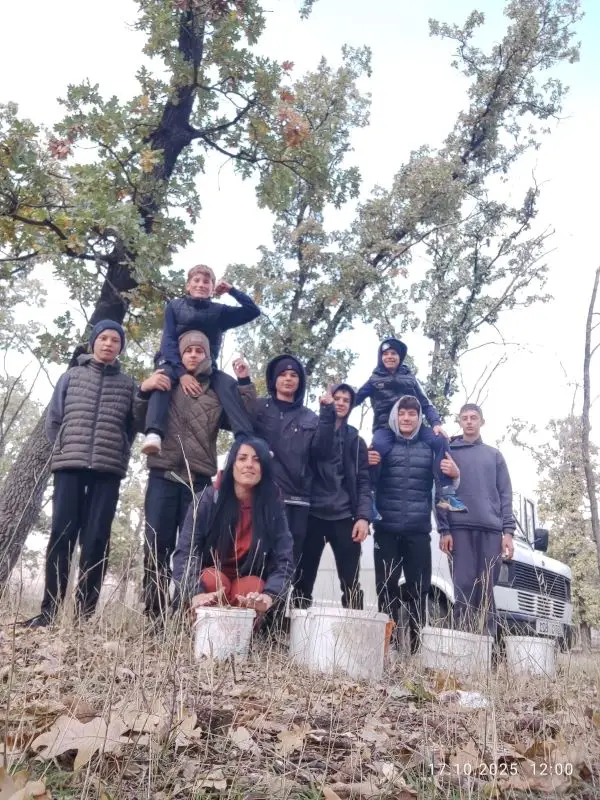 В Конгазчике школьники помогли посадить дубы