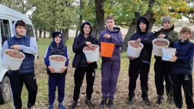 Ученики 8 класса гимназии села Конгазчик приняли участие в акции «Посади дерево», помогая Лесному хозяйству Комрата в осенней кампании. Ребята с энтузиазмом высаживали желуди и семена различных пород деревьев. «Мы гордимся активностью и добротой наших учеников. И выражаем искреннюю благодарность родителям за поддержку, понимание и помощь в организации этой акции», говорится на странице гимназии. Акция стала не только важным экологическим событием, но и уроком для молодежи о значении охраны природы, отметили в Главном управлении образования Гагаузии. В комментариях к публикации ведомства лесничий написал, что ребята оказали неоценимую помощь в восстановлении леса. фото Читайте также: Вино из Гагаузии взяло золото на международном конкурсе (АУДИО) Обыски и задержания в кишинёвском лицее им. Асаки: директора подозревают в коррупции и «откатах» «Всего четыре женщины»: активистки критикуют будущий кабмин Мунтяну